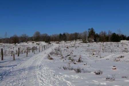 Döberitzer Heide round trail with snow 2021-02-14 118