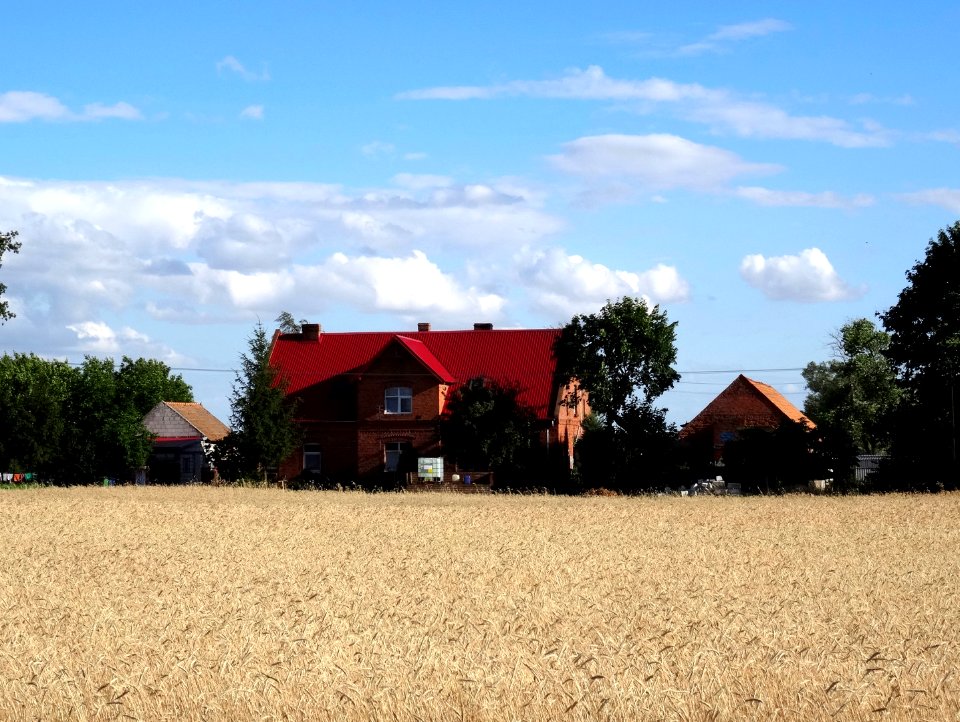 Dabrowa Wielka 22 7-2015