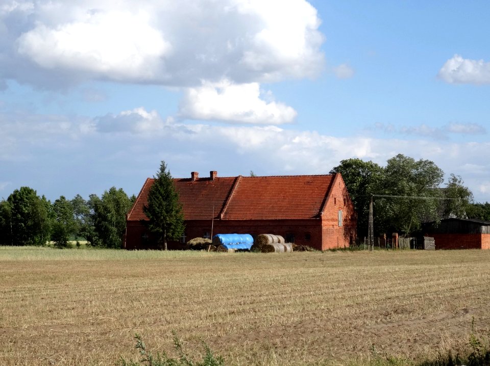Dabrowa Wielka 2 7-2015