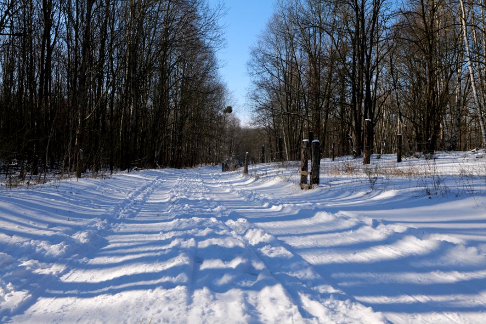 Döberitzer Heide round trail with snow 2021-02-14 131