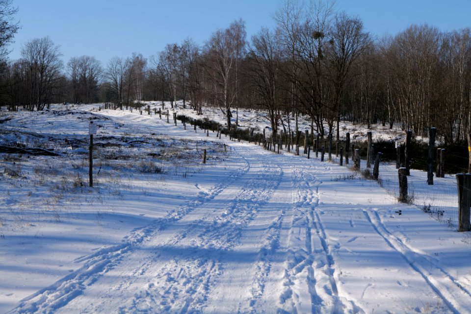 Döberitzer Heide round trail with snow 2021-02-14 127