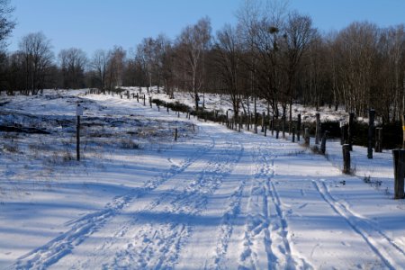 Döberitzer Heide round trail with snow 2021-02-14 127