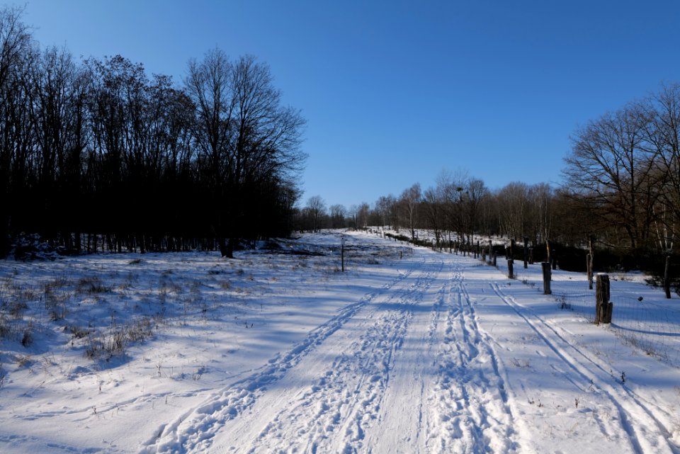 Döberitzer Heide round trail with snow 2021-02-14 126