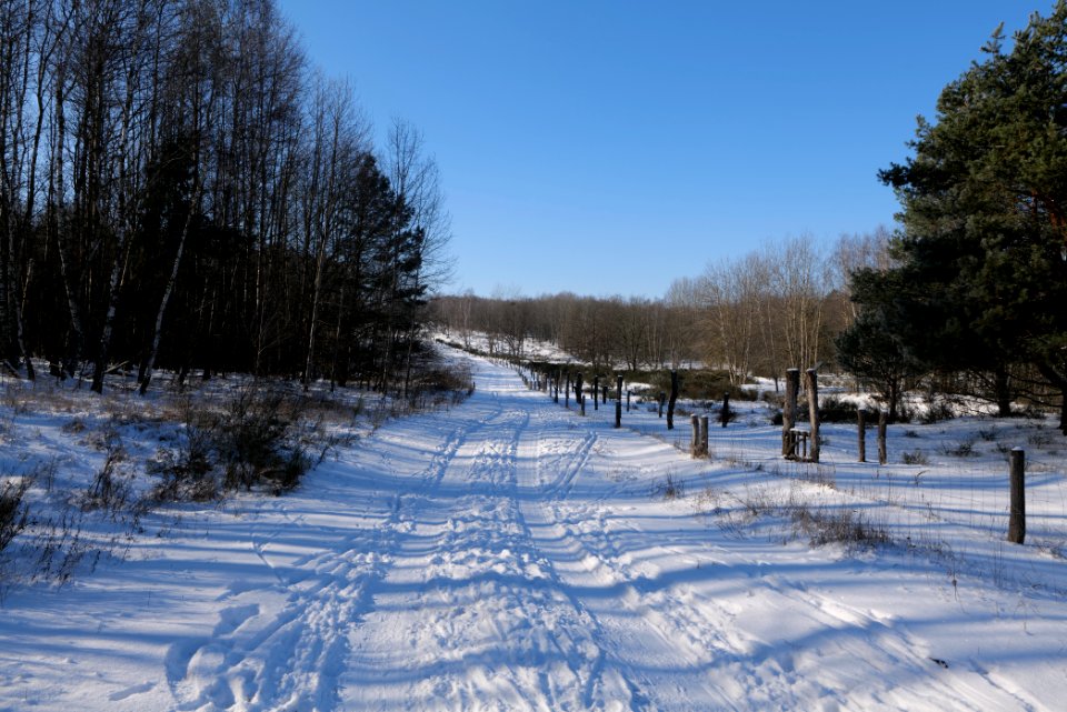 Döberitzer Heide round trail with snow 2021-02-14 129