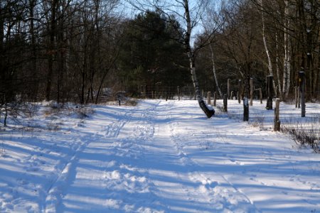 Döberitzer Heide round trail with snow 2021-02-14 134