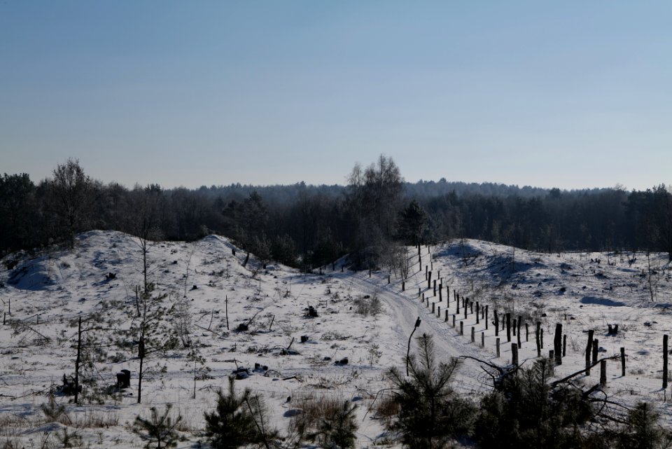 Döberitzer Heide round trail with snow 2021-02-14 122