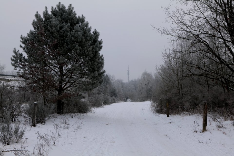 Döberitzer Heide round trail with snow 2021-02-14 07