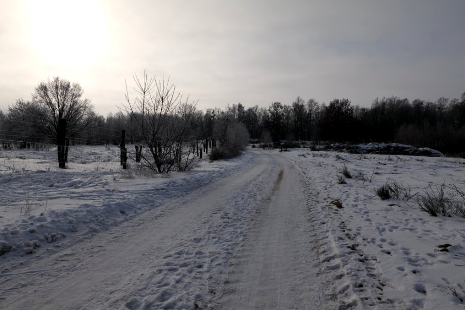 Döberitzer Heide round trail with snow 2021-02-14 106