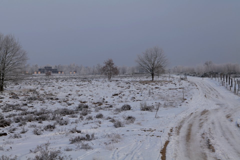 Döberitzer Heide round trail with snow 2021-02-14 103