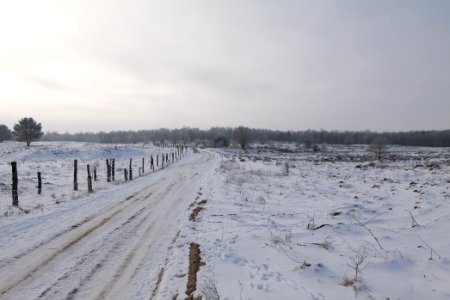 Döberitzer Heide round trail with snow 2021-02-14 101