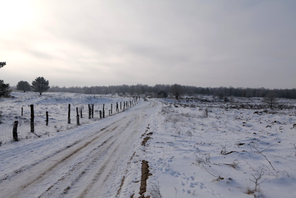 Döberitzer Heide round trail with snow 2021-02-14 102
