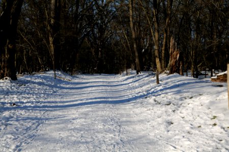 Döberitzer Heide round trail with snow 2021-02-14 150