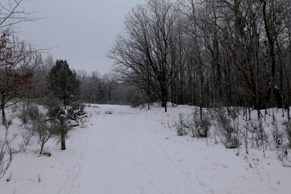 Döberitzer Heide round trail with snow 2021-02-14 17