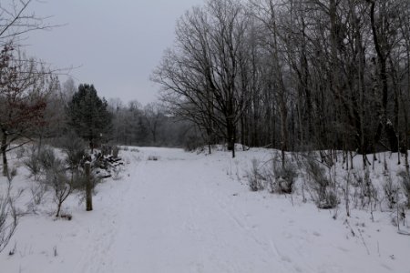 Döberitzer Heide round trail with snow 2021-02-14 17