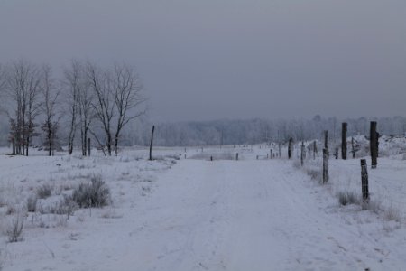 Döberitzer Heide round trail with snow 2021-02-14 63