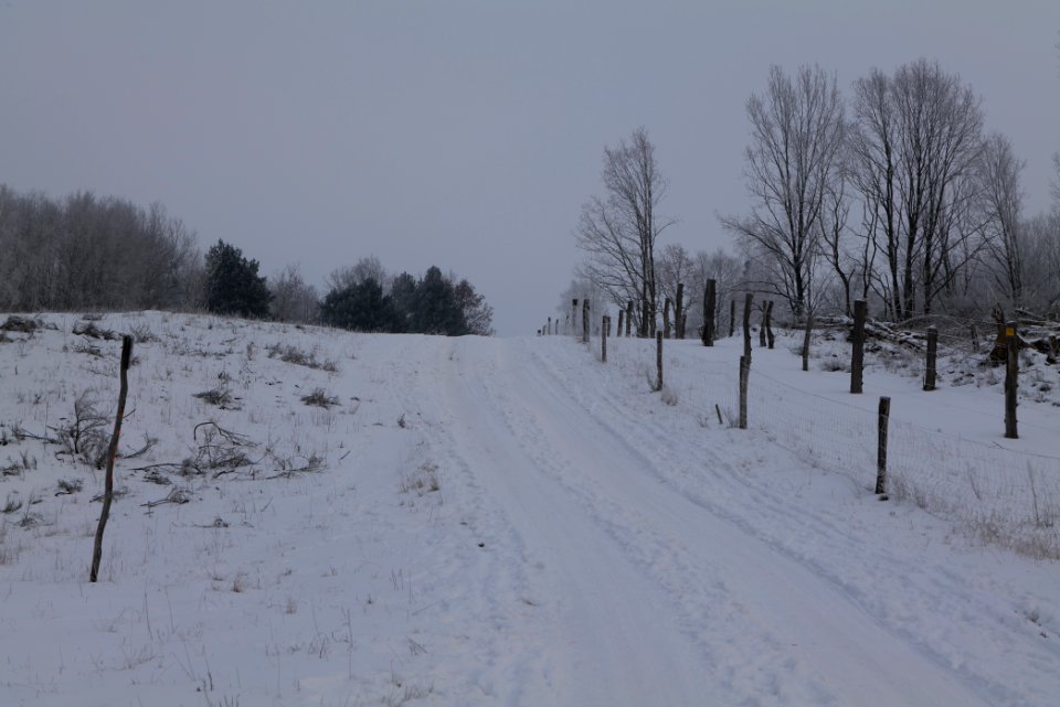 Döberitzer Heide round trail with snow 2021-02-14 67