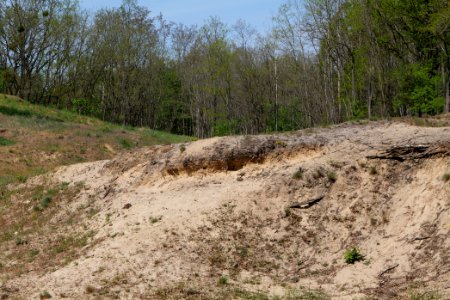Döberitzer Heide open landscape 2020-05-08 93