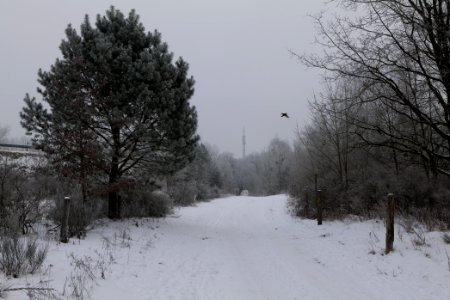 Döberitzer Heide round trail with snow 2021-02-14 08