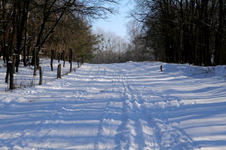 Döberitzer Heide round trail with snow 2021-02-14 112