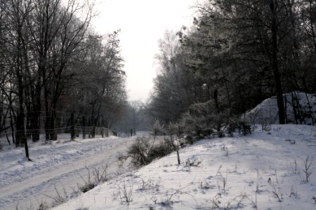 Döberitzer Heide round trail with snow 2021-02-14 110