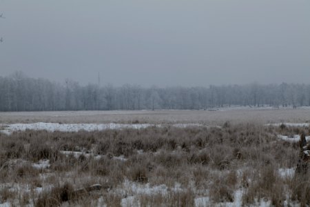 Döberitzer Heide with snow 2021-02-14 20