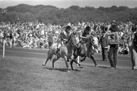 Dag van het Paard, op Duindigt, finish van een pony-ren, Bestanddeelnr 925-7324