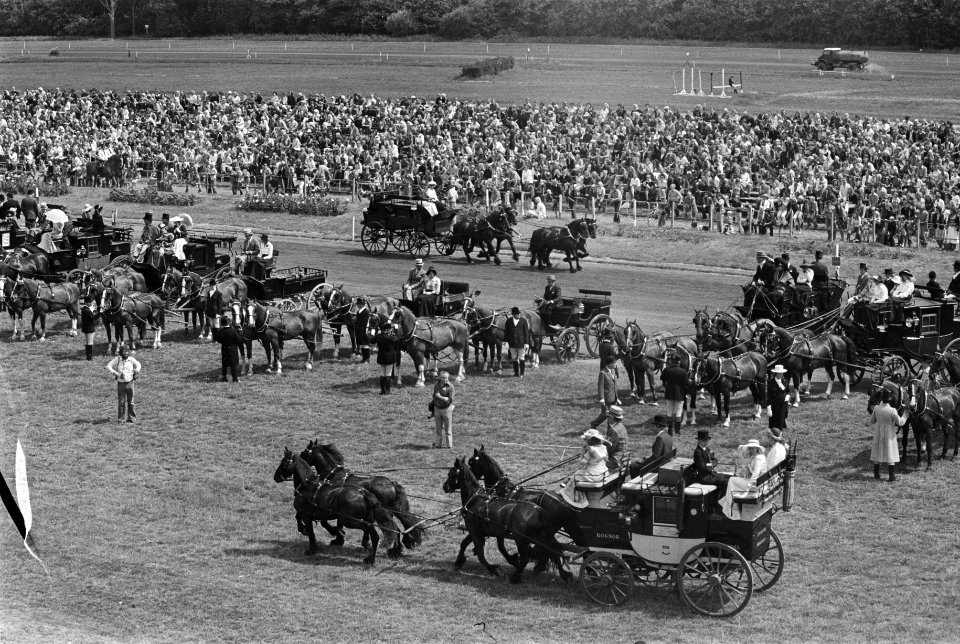 Dag van het paard op Duindigt, grote belangstelling voor vierspannen, Bestanddeelnr 928-7037