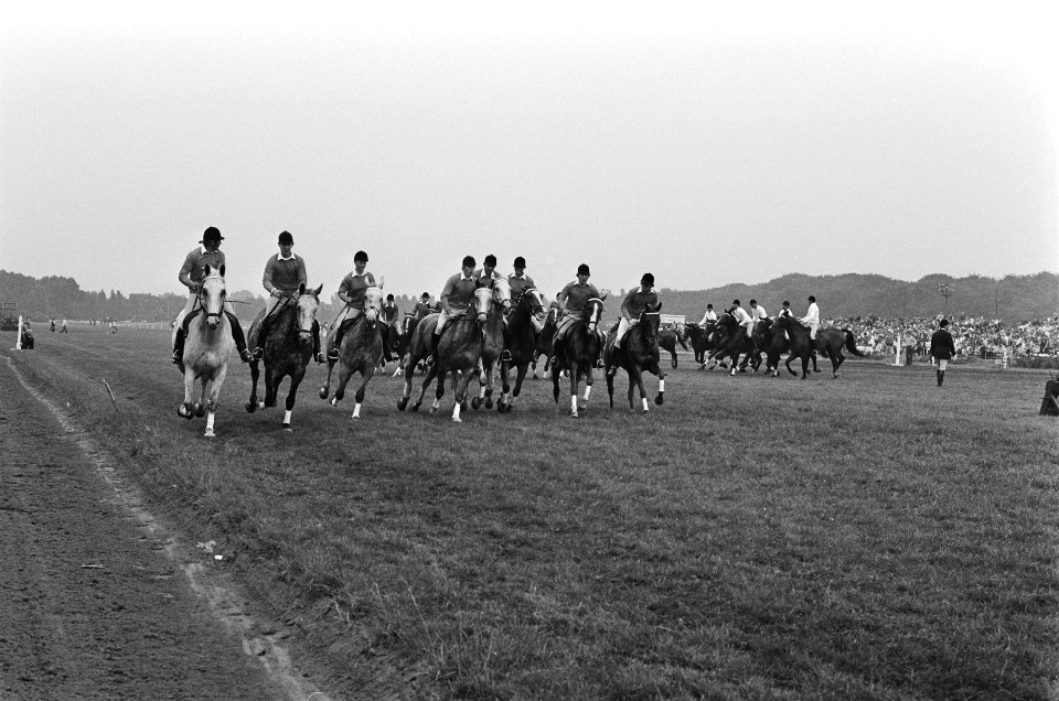 Dag van het paard op Duindigt overzichten tijdens paardendemonstraties, Bestanddeelnr 929-8337