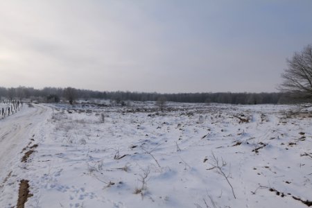 Döberitzer Heide with snow 2021-02-14 151