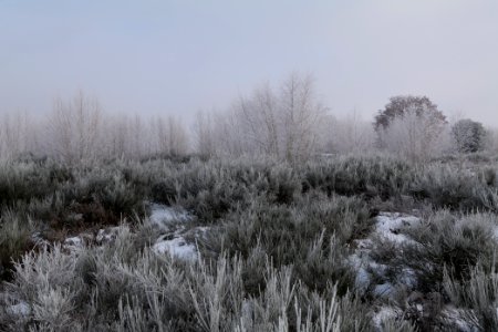 Döberitzer Heide with snow 2021-02-14 149