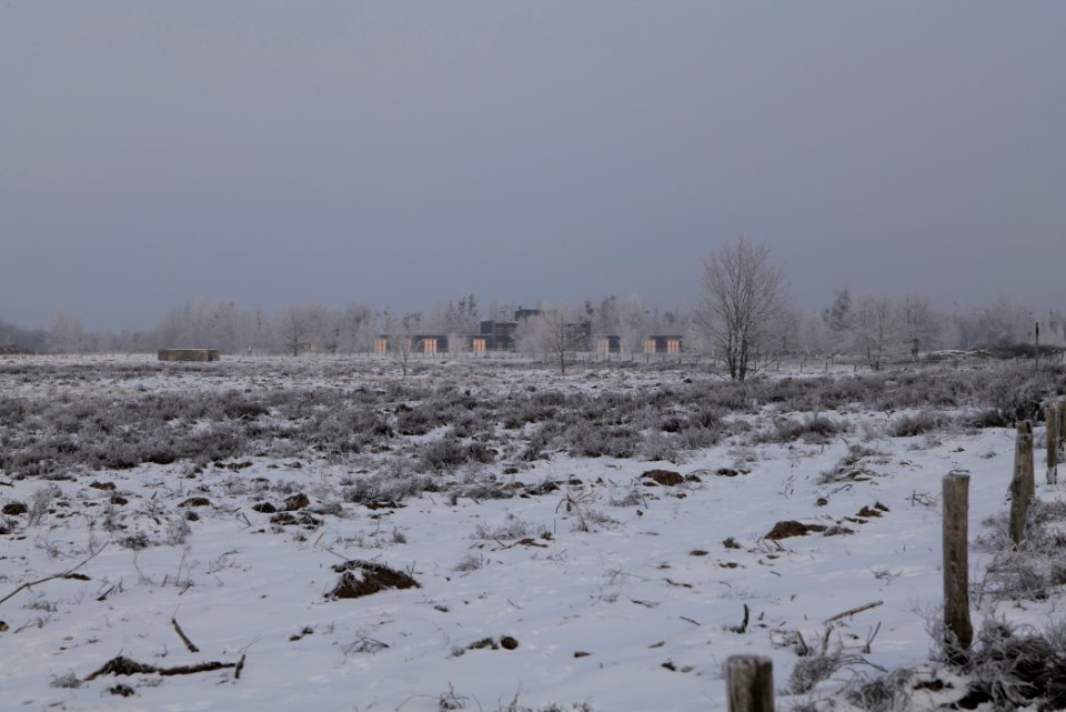 Döberitzer Heide with snow 2021-02-14 145