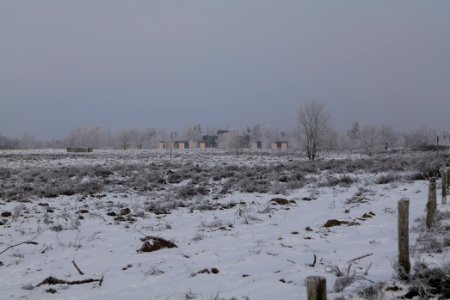 Döberitzer Heide with snow 2021-02-14 145