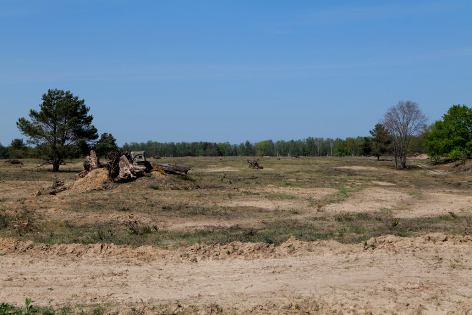 Döberitzer Heide open landscape 2020-05-08 148