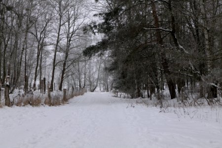 Döberitzer Heide round trail with snow 2021-02-14 28