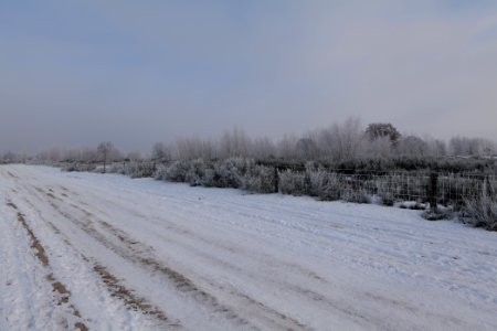 Döberitzer Heide with snow 2021-02-14 146