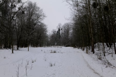 Döberitzer Heide round trail with snow 2021-02-14 25