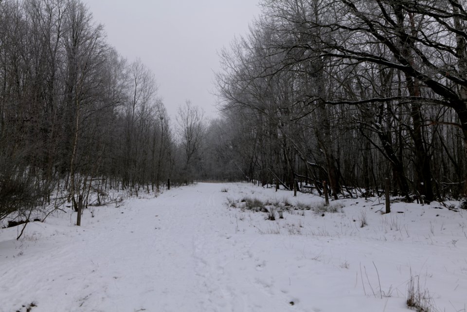 Döberitzer Heide round trail with snow 2021-02-14 22