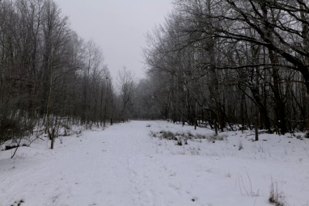 Döberitzer Heide round trail with snow 2021-02-14 22