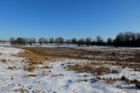 Döberitzer Heide with snow 2021-02-14 250