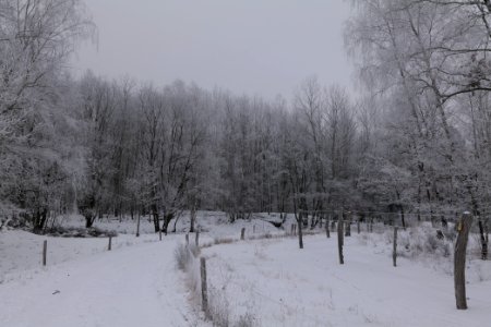 Döberitzer Heide round trail with snow 2021-02-14 34