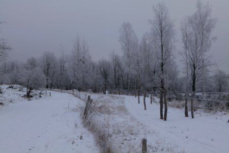 Döberitzer Heide round trail with snow 2021-02-14 51