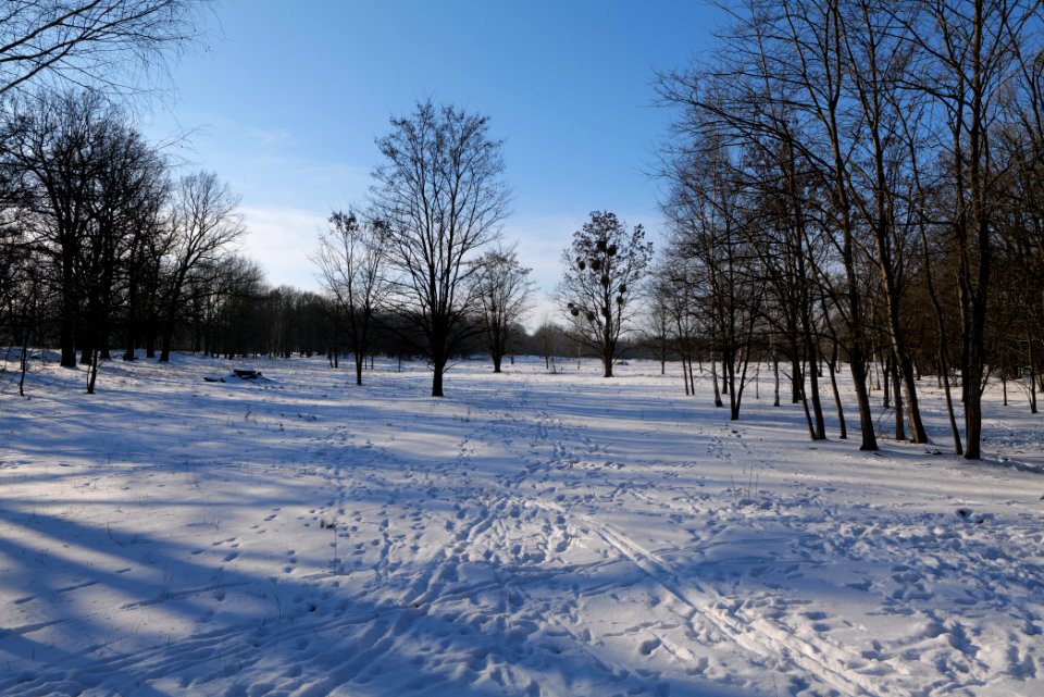 Döberitzer Heide with snow 2021-02-14 254