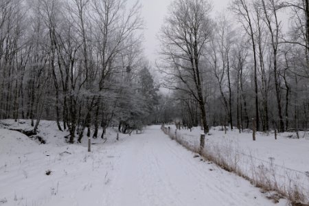 Döberitzer Heide round trail with snow 2021-02-14 29