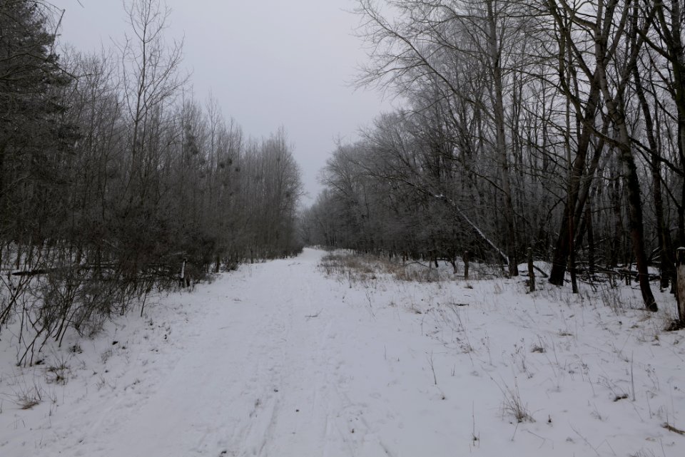 Döberitzer Heide round trail with snow 2021-02-14 19