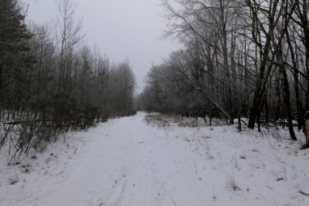 Döberitzer Heide round trail with snow 2021-02-14 19