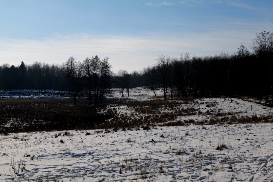 Döberitzer Heide with snow 2021-02-14 248