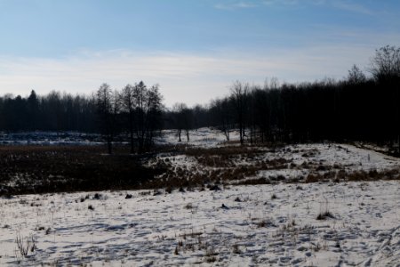 Döberitzer Heide with snow 2021-02-14 248
