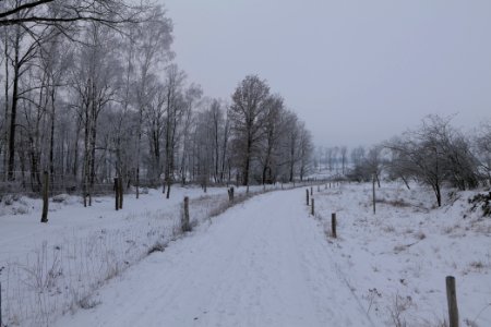 Döberitzer Heide round trail with snow 2021-02-14 37