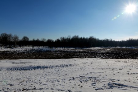Döberitzer Heide with snow 2021-02-14 246