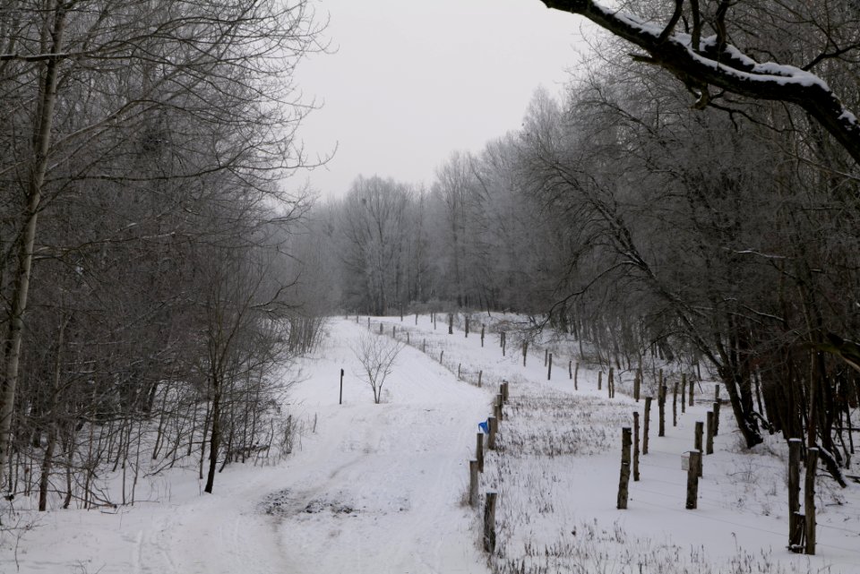 Döberitzer Heide round trail with snow 2021-02-14 76